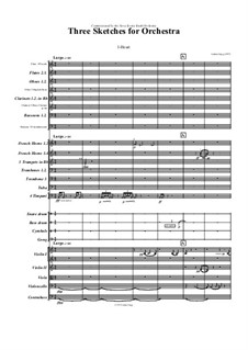 3 sketches for orchestra: 3 sketches for orchestra by Jordan Grigg