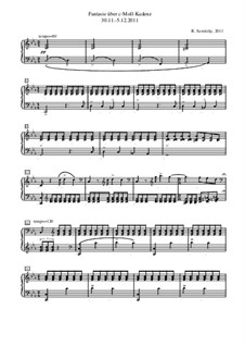 Fantasie c-Moll, Op.8i: Für einen Interpreten (über die Kadenz) by Raphael Sawitzky