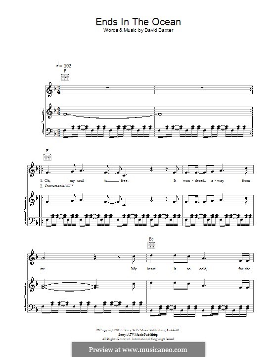 Ends in the Ocean (Avalanche City): Für Stimme mit Klavier oder Gitarre by David Baxter