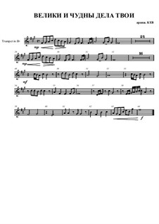 велики и чудны дела твои господи. велики и чудны дела твои господи боже вседержитель. велики и чудны дела твои господи боже вседержитель. велики и чудны дела твои аккорды. велики и чудны дела твои текст.