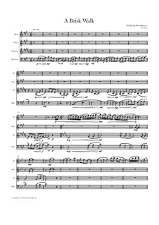 A Brisk Walk: A Brisk Walk by Winthrop Brookhouse