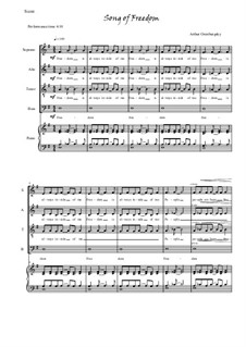 Song of Freedom: Song of Freedom by Arthur Orenburgsky