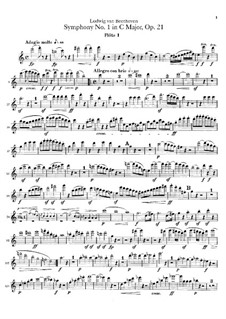Vollständiger Sinfonie: Flötenstimmen I, II by Ludwig van Beethoven