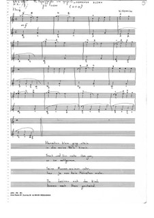 Six Variations on the folksong 'Hänschen Klein': Six Variations on the folksong 'Hänschen Klein' by Ilias Chrissochoidis