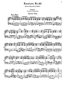 Freue dich, erlöste Schar, BWV 30: Basso Continuo Stimme by Johann Sebastian Bach
