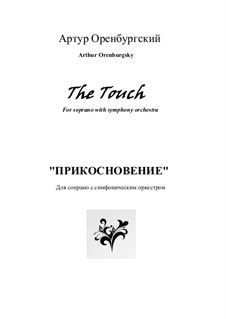 The Touch: The Touch by Arthur Orenburgsky
