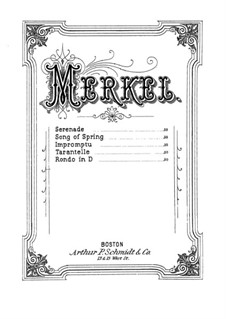 Rondo: Rondo by Gustav Adolf Merkel