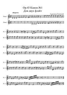 Canon No.1, Op.43: For flute duet by Ksardas