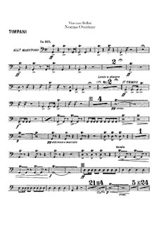 Ouvertüre: Pauken-, Grosse Trommelstimmen by Vincenzo Bellini