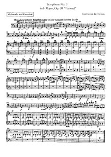 Vollständiger Sinfonie: Cello- und Kontrabassstimme by Ludwig van Beethoven