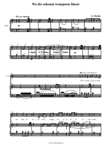 Des Knaben Wunderhorn: Wo die Schönen Trompeten Blaser by Gustav Mahler
