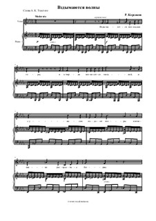 Am Meer, Op.46: No.5 The Waves Rise Up Like Mountains by Nikolai Rimsky-Korsakov