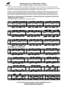 Tägliche Übungen für Klavier (Auszüge): Tägliche Übungen für Klavier (Auszüge) by Aloys Schmitt