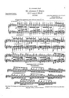 Douze études caractéristiques, Op.2: Etüde Nr.2 'If I Were a Bird' by Adolf von Henselt