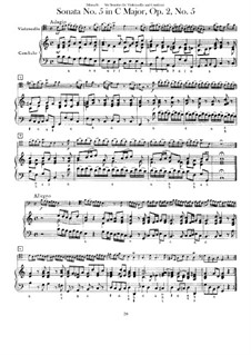 Sechs Sonaten für Cello (oder Bratsche) und Basso Continuo, Op.1: Sonate Nr.5 by Benedetto Marcello