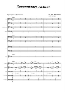 Sechs Romanzen, TH 109 Op.73: No.4 The Sun Has Set, for voice and orchestra by Pjotr Tschaikowski