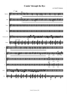Comin' thro' the Rye for choir, clarinet and guitar: Comin' thro' the Rye for choir, clarinet and guitar by folklore, David W Solomons