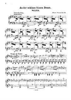 An der schönen blauen Donau, für Klavier, Op.314: Für einen Interpreten by Johann Strauss (Sohn)