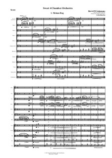 Sweet 4 Chamber Orchestra: 1. Meinau Rag by David W Solomons