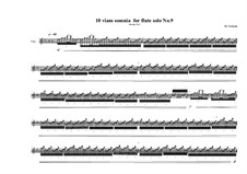 10 viam somnia for flute solo: No.9, MVWV 528 by Maurice Verheul