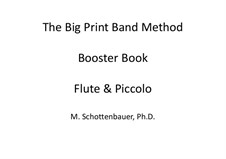 Auftriebbuch: Flöte und Piccolo by Michele Schottenbauer