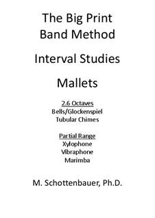 Intervall-Studien: Mallet Instrumente by Michele Schottenbauer