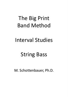 Intervall-Studien: Kontrabass by Michele Schottenbauer