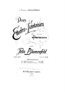 Deux Etudes-Fantaisies for Piano, Op.25: Etude-Fantasia No.1 in G Minor by Felix Blumenfeld