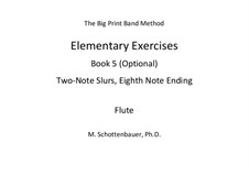 Elementare Übungen. Buch V: Flöte by Michele Schottenbauer