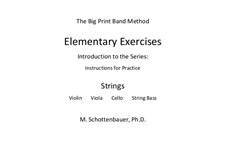 Elementary Exercises. Introduction and Instructions for Practice: Strings by Michele Schottenbauer