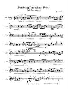 Rambling Through the Fields (solo bass clarinet): Rambling Through the Fields (solo bass clarinet) by Jordan Grigg