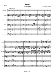 Sonate für Arpeggione (oder Cello) und Klavier in a-Moll, D.821: Version für Cello (oder Viola) und Streichorchester by Franz Schubert