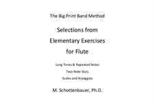 Auswahl: Aus Elementary Übungen für Flöte by Michele Schottenbauer