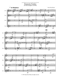 Enigmatic Fanfare: Enigmatic Fanfare by Gary Nash