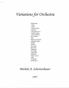 Variationen für Orchester: Variationen für Orchester by Michele Schottenbauer