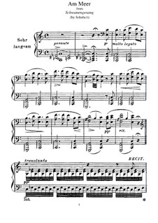 Nr.12 Am Meer: Für Klavier, S.560 No.4 by Franz Schubert
