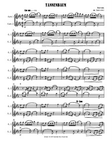 Vocal-instrumental version: Für vier Flöten by folklore