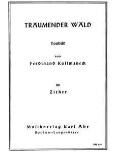 Träumender Wald: Träumender Wald by Ferdinand Kollmaneck