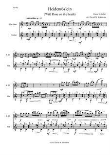 Heidenröslein, D.257 Op.3 No.3: For alto flute and guitar by Franz Schubert