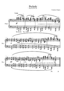 Nr.20 in c-Moll: Für Klavier by Frédéric Chopin