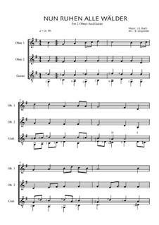 Nun ruhen alle Wälder: Für zwei Oboen und Gitarre (G-Dur) by Johann Sebastian Bach
