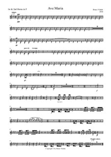 Ave Maria, Op.1: Orchesterstimmen by Bruno Vlahek