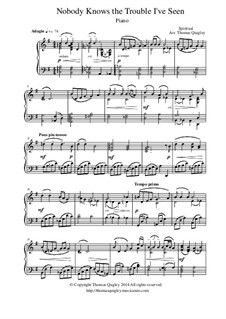 Nobody Knows the Trouble I've Seen: Für Klavier Solo by folklore