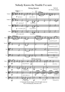Nobody Knows the Trouble I've Seen: Für Streichquartett by folklore