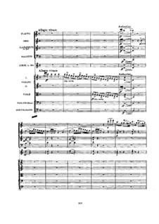 Die seidene Leiter: Ouvertüre by Gioacchino Rossini
