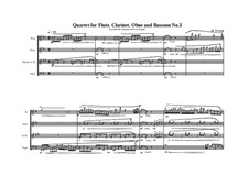 3 Quartets for Flute, Clarinet, Oboe and Bassoon: Quartet No.3, MVWV 389 by Maurice Verheul