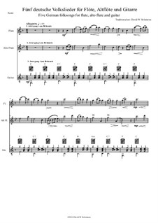 5 Volkslieder: Für Flöte, Altflöte und Gitarre by folklore