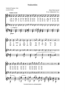 Volkskinderlieder, WoO 31: Nr.6 Heidenröslein, für Stimme und Gitarre by Johannes Brahms