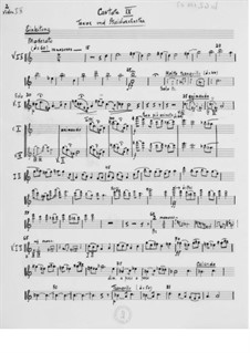 Kantate Nr.9 'Lieder-Cantate': Orchesterstimmen by Ernst Levy