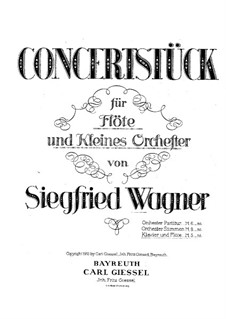 Koncertstück für Flöte und kleines Orchester: Version für Flöte und Klavier by Siegfried Wagner